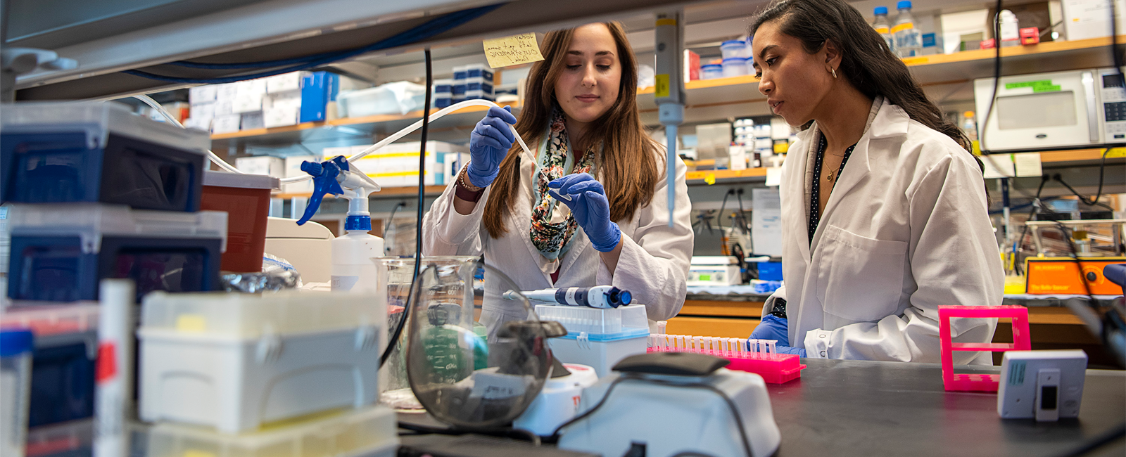 Two students working in a lab together