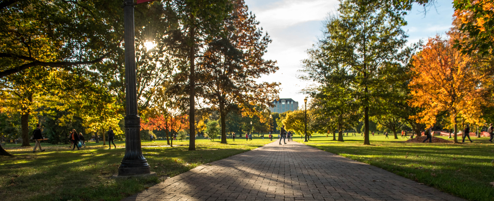 Paved pathway through the Oval on the Columbus campus