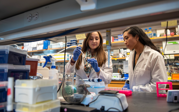 Medical Scientist Training Program students in the BRT Lab, collaborating with each other and faculty members.